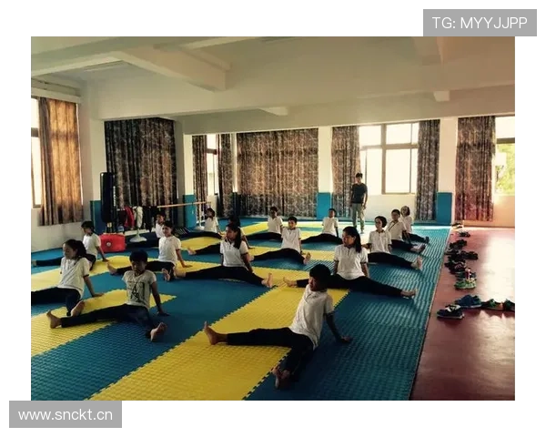 科学制定跆拳道训练计划助力提升技巧与体能的全方位指南