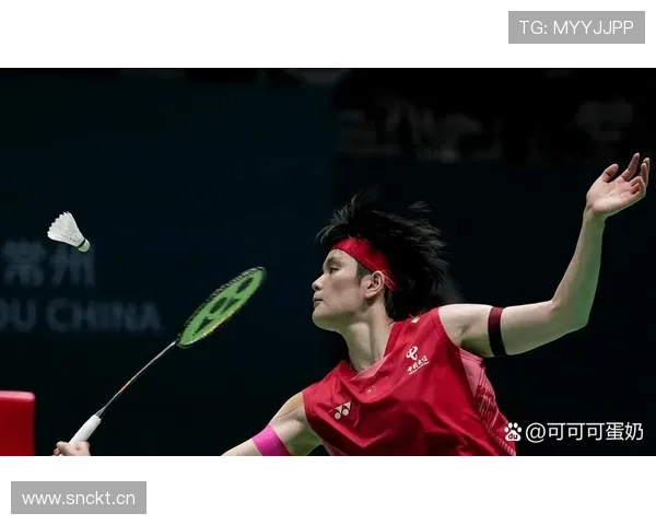 羽毛球历史排名演变与世界顶尖选手的成就分析